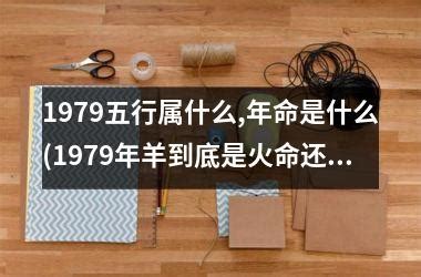 1979五行|1979年五行属什么